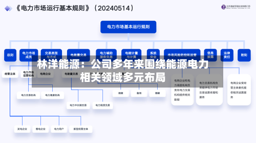 林洋能源：公司多年来围绕能源电力相关领域多元布局