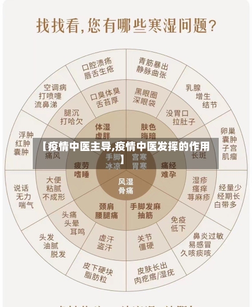 【疫情中医主导,疫情中医发挥的作用】-第2张图片