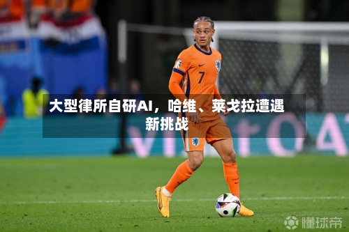 大型律所自研AI	，哈维、莱戈拉遭遇新挑战-第2张图片