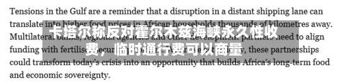 卡塔尔称反对霍尔木兹海峡永久性收费，临时通行费可以商量