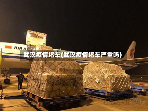 武汉疫情堵车(武汉疫情堵车严重吗)-第3张图片