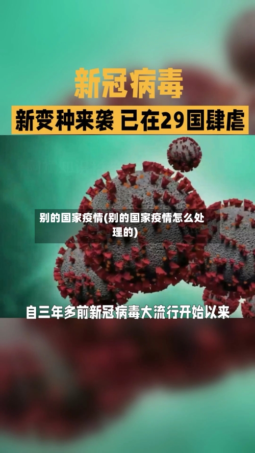 别的国家疫情(别的国家疫情怎么处理的)