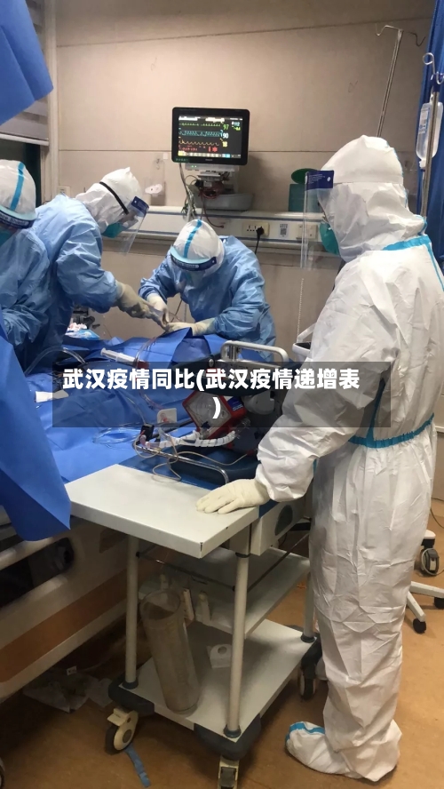武汉疫情同比(武汉疫情递增表)