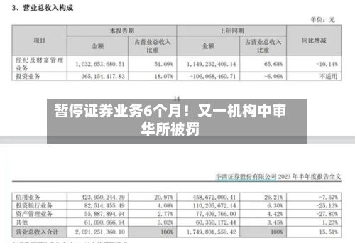暂停证券业务6个月！又一机构中审华所被罚