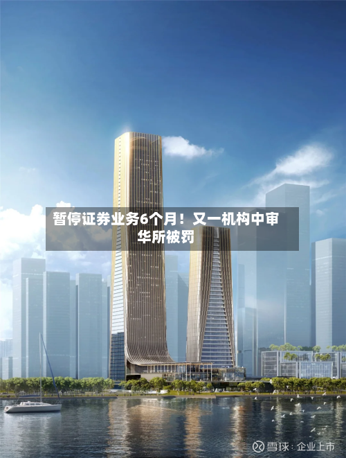 暂停证券业务6个月！又一机构中审华所被罚-第2张图片