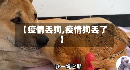 【疫情丢狗,疫情狗丢了】-第2张图片