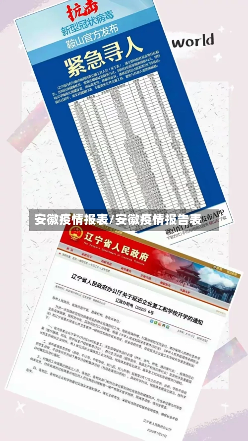 安徽疫情报表/安徽疫情报告表