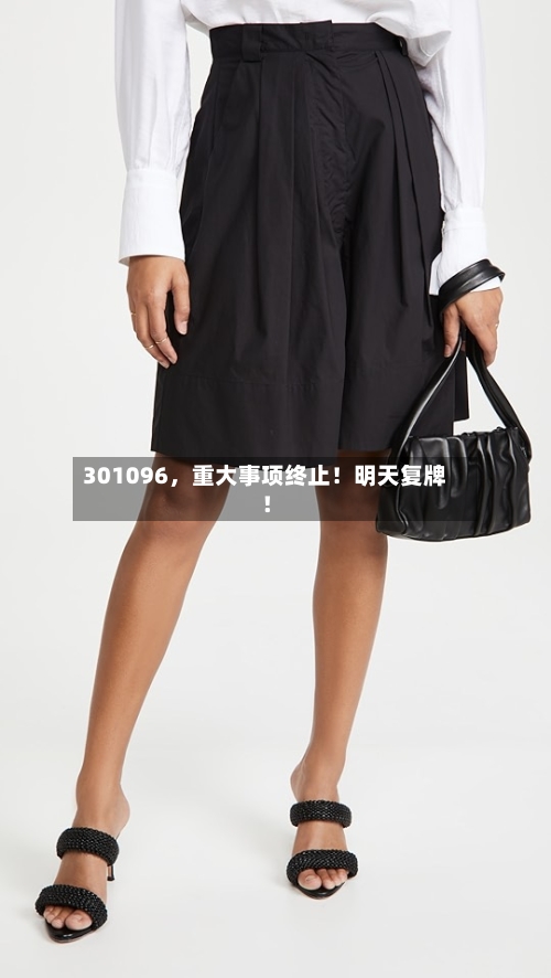 301096，重大事项终止！明天复牌！-第3张图片