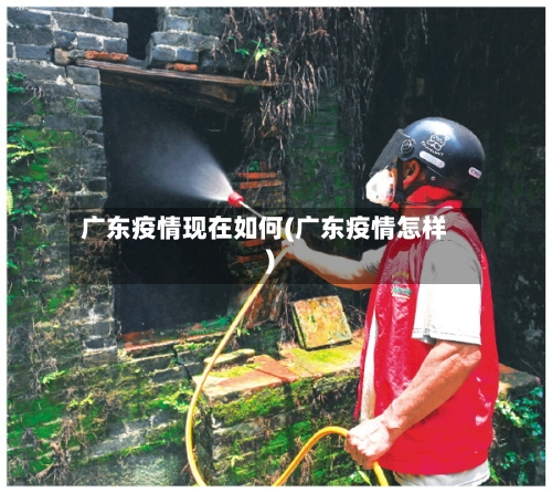 广东疫情现在如何(广东疫情怎样)-第2张图片