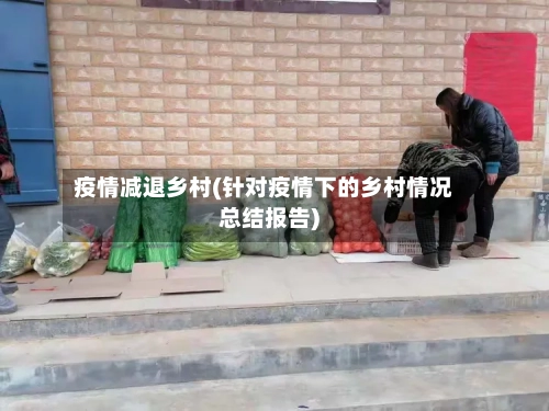 疫情减退乡村(针对疫情下的乡村情况总结报告)