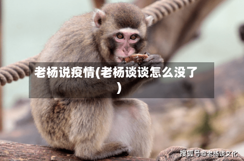老杨说疫情(老杨谈谈怎么没了)-第2张图片