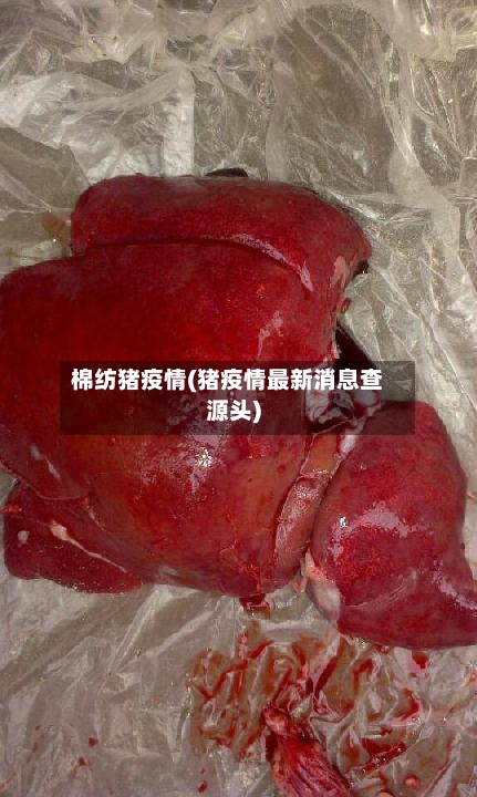 棉纺猪疫情(猪疫情最新消息查源头)-第2张图片