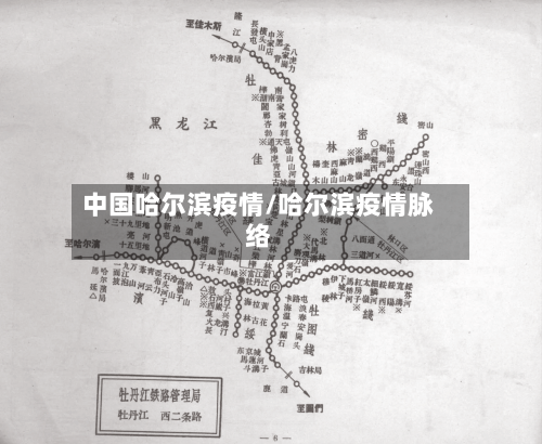 中国哈尔滨疫情/哈尔滨疫情脉络