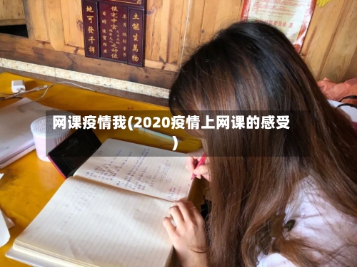 网课疫情我(2020疫情上网课的感受)-第3张图片