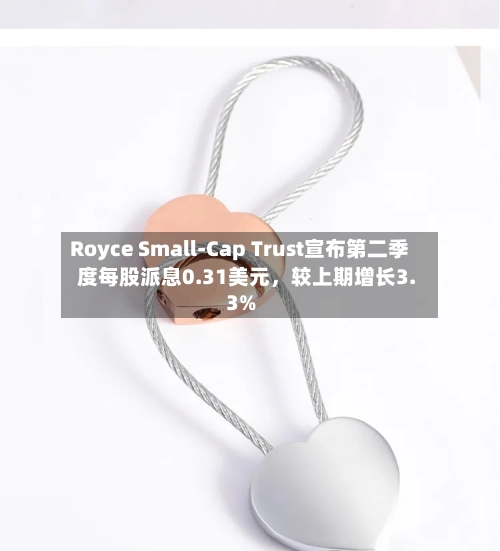 Royce Small-Cap Trust宣布第二季度每股派息0.31美元，较上期增长3.3%-第2张图片