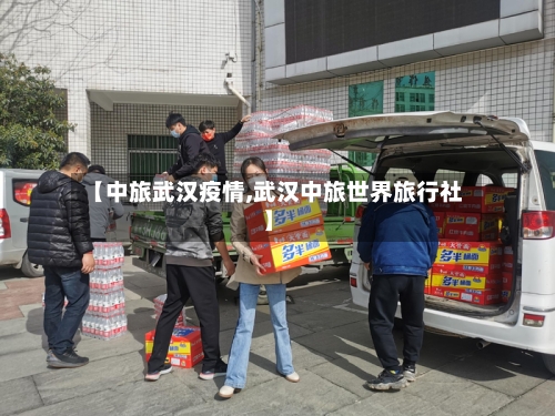 【中旅武汉疫情,武汉中旅世界旅行社】-第2张图片