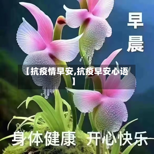 【抗疫情早安,抗疫早安心语】-第2张图片
