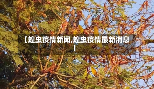 【蝗虫疫情新闻,蝗虫疫情最新消息】