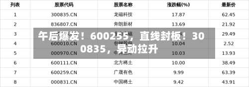 午后爆发！600255，直线封板！300835，异动拉升-第2张图片