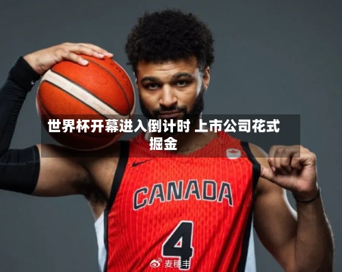 世界杯开幕进入倒计时 上市公司花式掘金