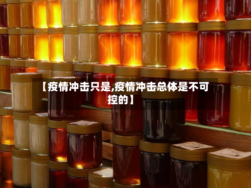 【疫情冲击只是,疫情冲击总体是不可控的】-第3张图片
