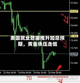 美国就业数据推升加息预期	，黄金承压走低-第2张图片