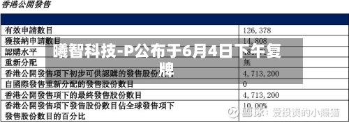 曦智科技-P公布于6月4日下午复牌-第2张图片