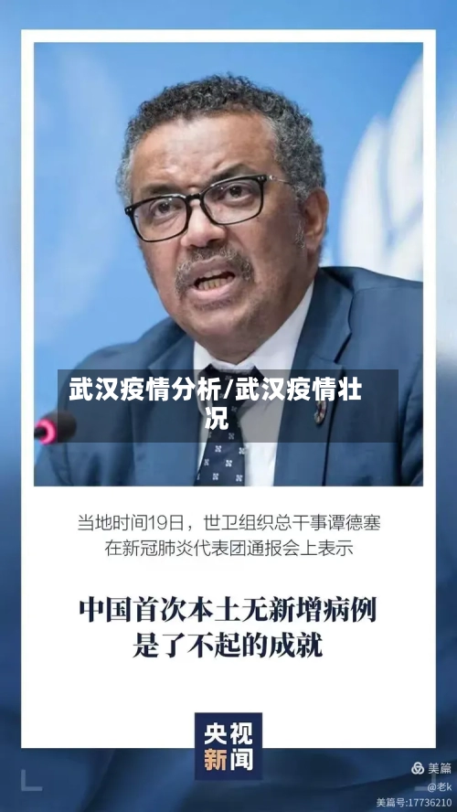 武汉疫情分析/武汉疫情壮况