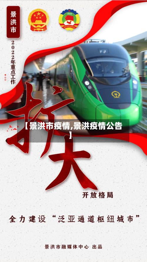 【景洪市疫情,景洪疫情公告】