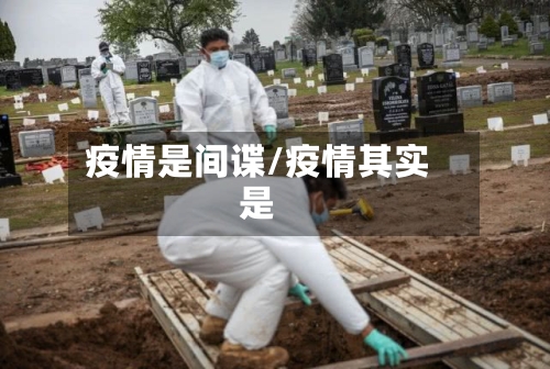 疫情是间谍/疫情其实是