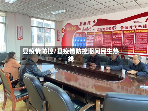 县疫情防控/县疫情防控期间民生热线-第3张图片