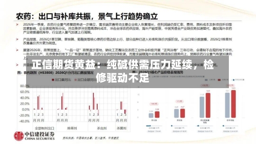 正信期货黄益：纯碱供需压力延续，检修驱动不足-第2张图片