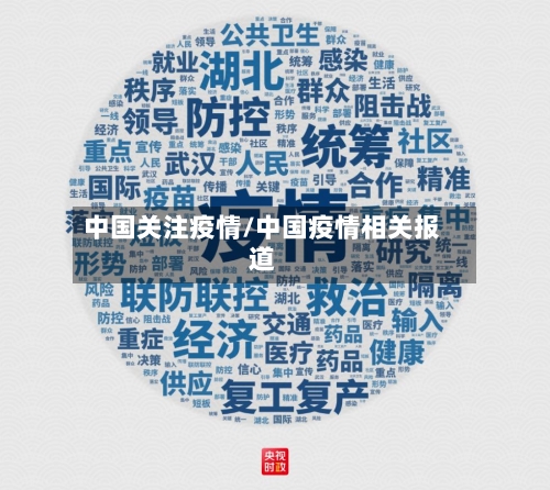 中国关注疫情/中国疫情相关报道-第2张图片