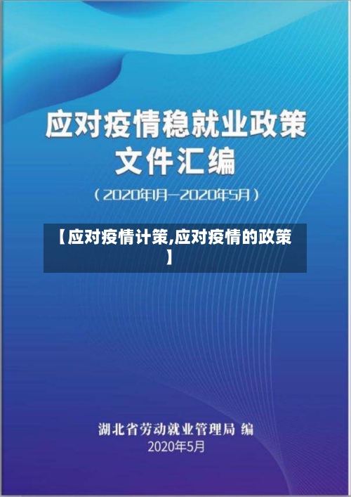 【应对疫情计策,应对疫情的政策】