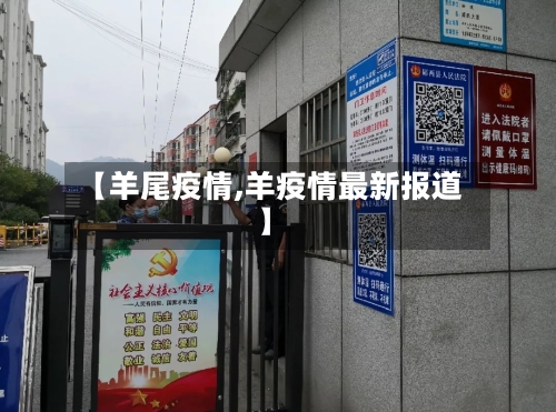 【羊尾疫情,羊疫情最新报道】-第3张图片