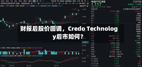 财报后股价回调	，Credo Technology后市如何？-第2张图片