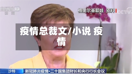 疫情总裁文/小说 疫情