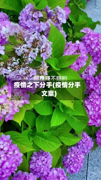 疫情之下分手(疫情分手文案)