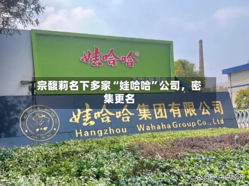 宗馥莉名下多家“娃哈哈”公司	，密集更名-第2张图片