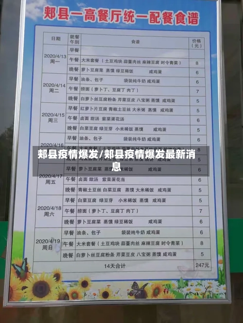 郏县疫情爆发/郏县疫情爆发最新消息-第2张图片