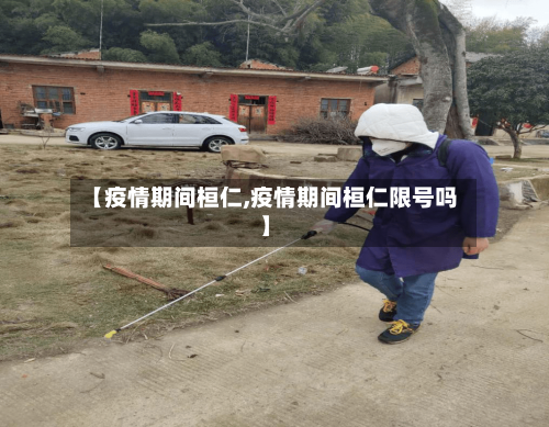 【疫情期间桓仁,疫情期间桓仁限号吗】-第2张图片