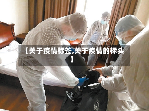 【关于疫情标签,关于疫情的标头】-第3张图片