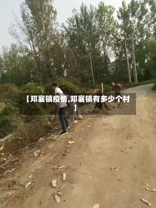 【邓襄镇疫情,邓襄镇有多少个村】-第3张图片