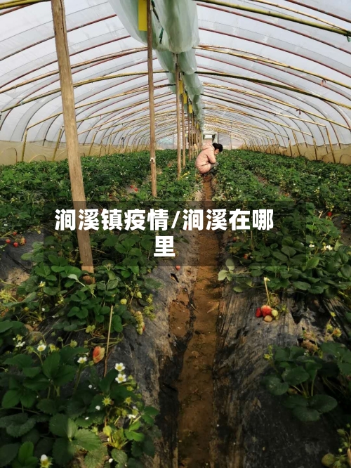涧溪镇疫情/涧溪在哪里-第3张图片