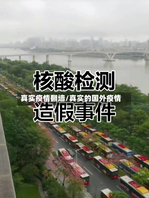 真实疫情翻墙/真实的国外疫情-第2张图片