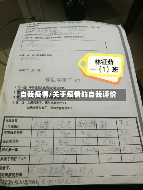 自我疫情/关于疫情的自我评价