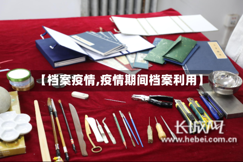 【档案疫情,疫情期间档案利用】-第2张图片