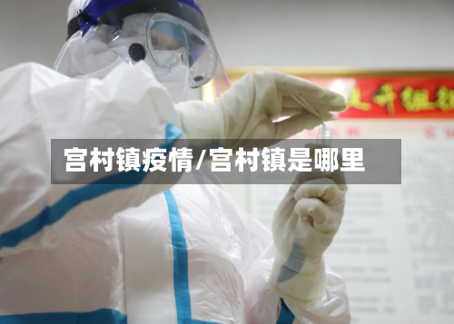 宫村镇疫情/宫村镇是哪里-第3张图片
