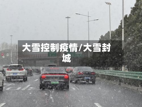 大雪控制疫情/大雪封城-第3张图片