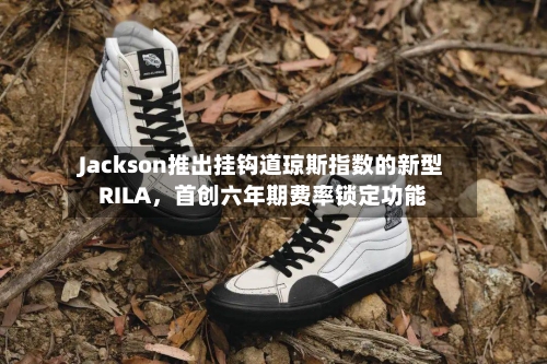 Jackson推出挂钩道琼斯指数的新型RILA，首创六年期费率锁定功能